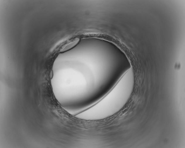X0000089671351200706210743