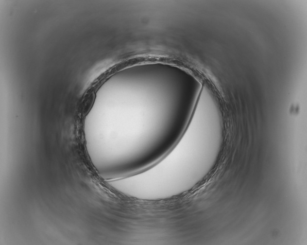 X0000089671352200706210743