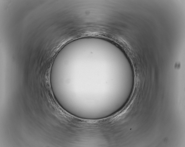 X0000089671353200706210743