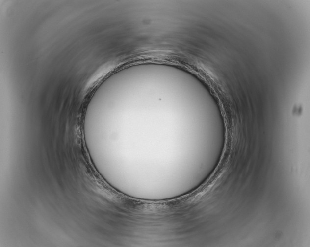 X0000089671354200706210743