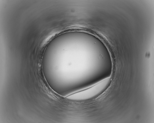 X0000089671355200706210743