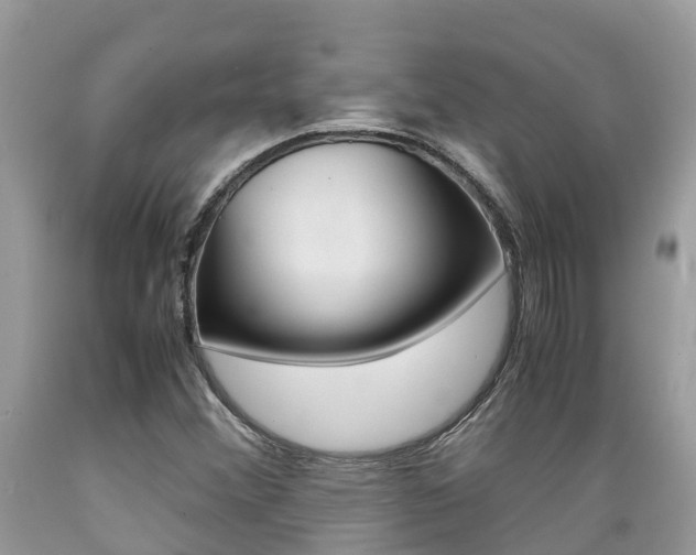 X0000089671356200706210743