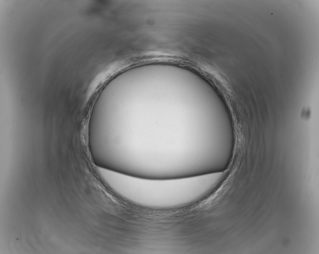 X0000089671357200706210743