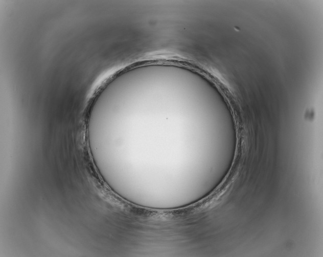 X0000089671358200706210743