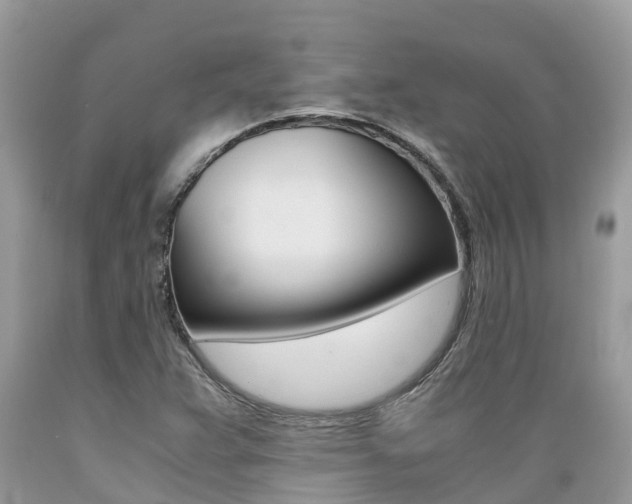 X0000089671359200706210743