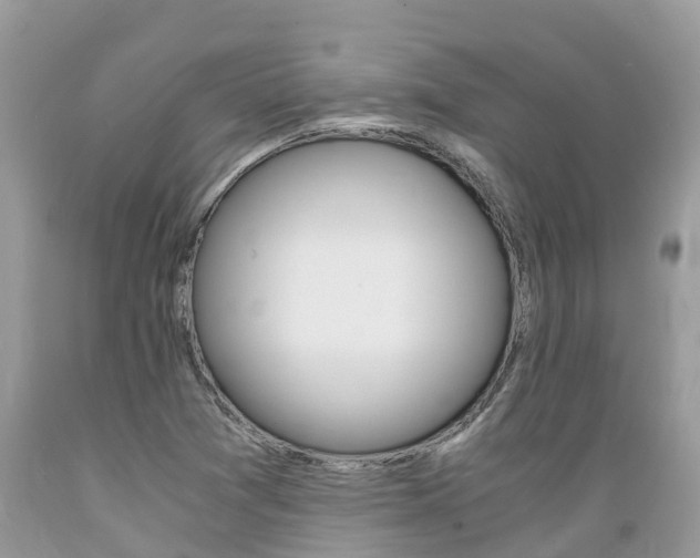 X0000089671361200706210743