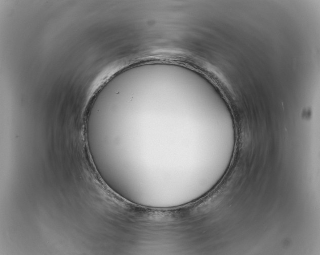 X0000089671362200706210743