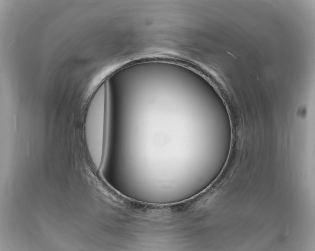 X0000089671363200706210743