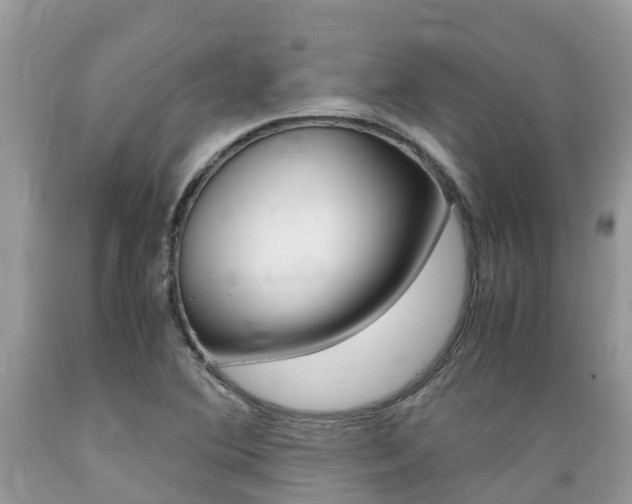 X0000089671364200706210743