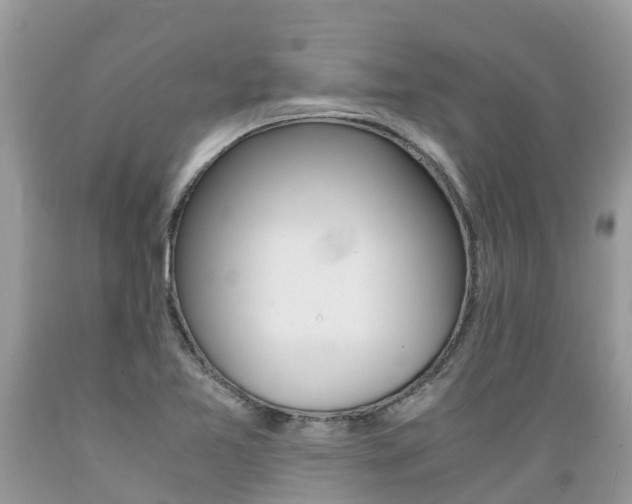 X0000089671365200706210743
