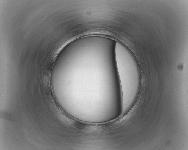 X0000089671369200706210743