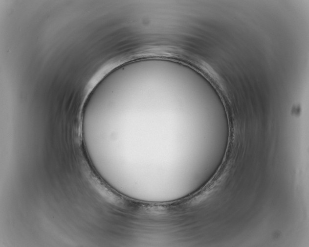 X0000089671370200706210743