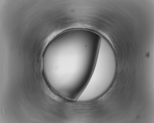 X0000089671371200706210743