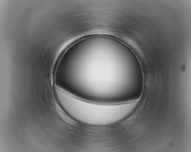 X0000089671372200706210743