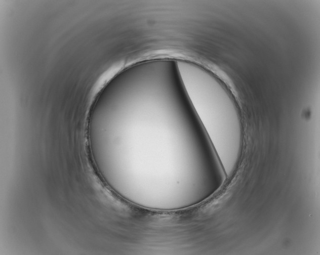 X0000089671373200706210743