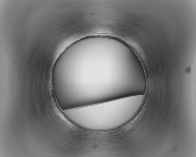 X0000089671374200706210743