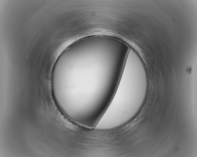 X0000089671375200706210743