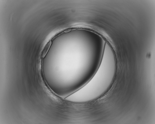 X0000089671376200706210743