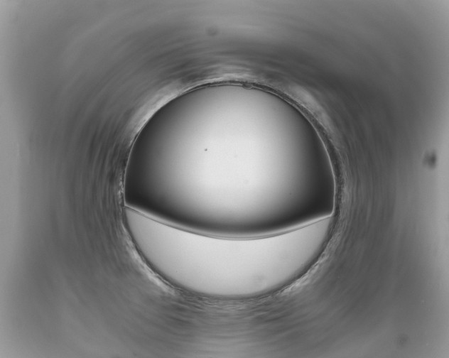 X0000089671377200706210743