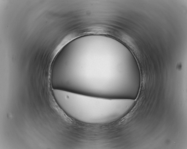 X0000089671378200706210743
