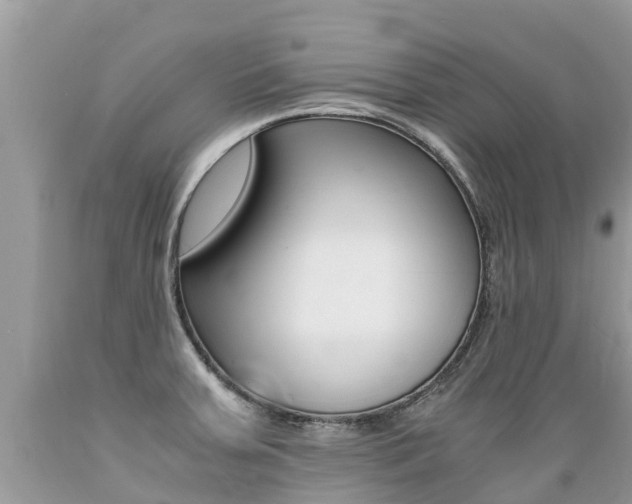 X0000089671379200706210743