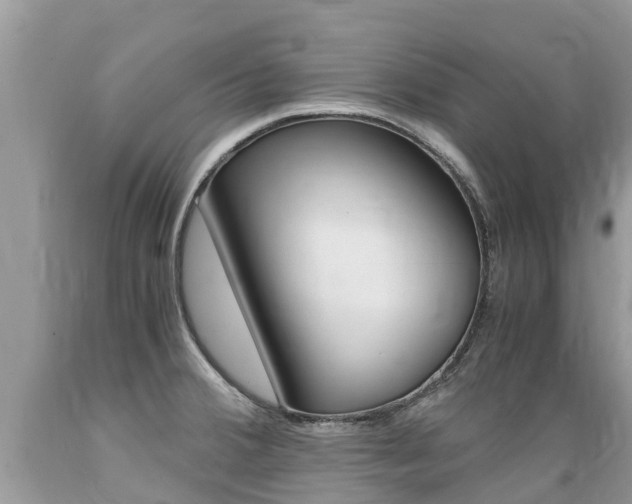 X0000089671380200706210743