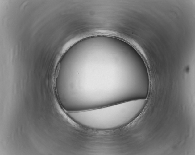 X0000089671381200706210743