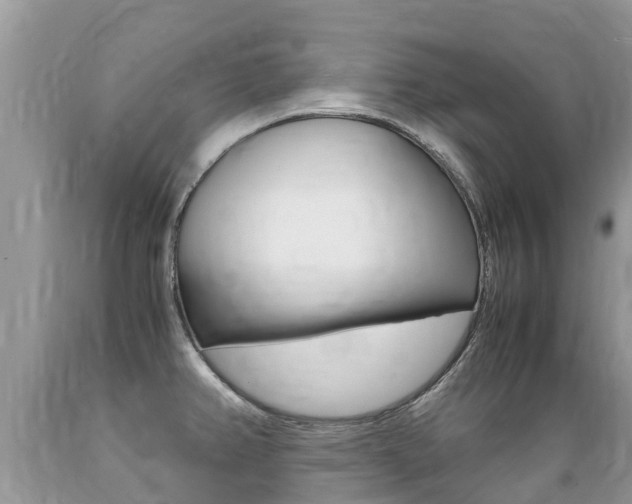 X0000089671382200706210743