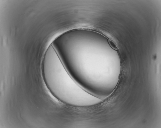 X0000089671383200706210743