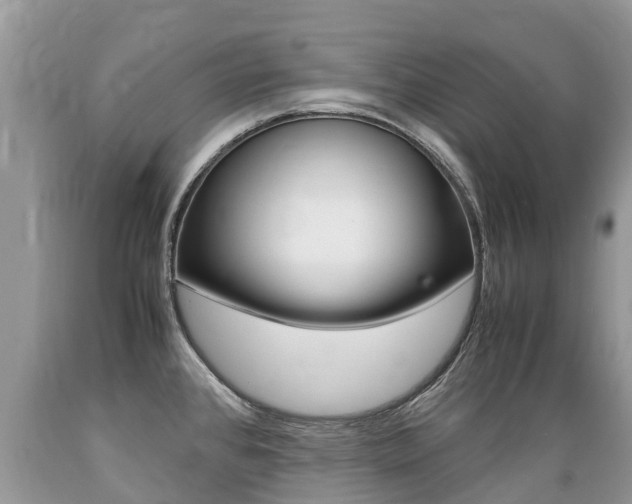 X0000089671384200706210743