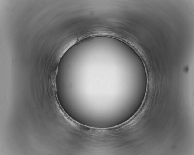 X0000089671385200706210743