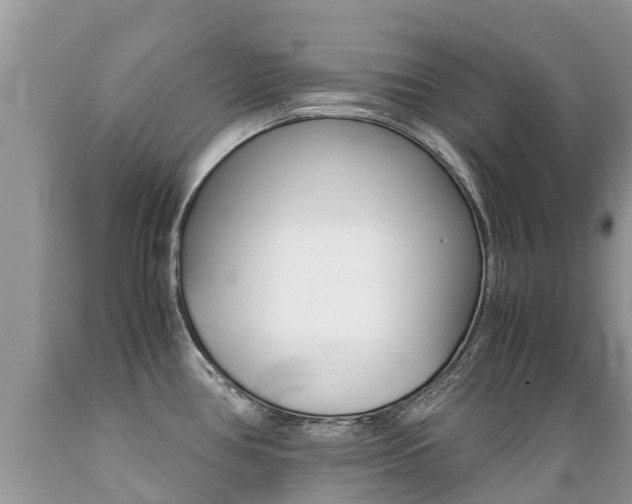 X0000089671386200706210743