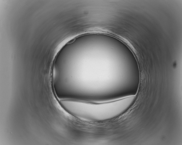 X0000089671387200706210743