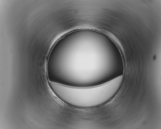 X0000089671388200706210743