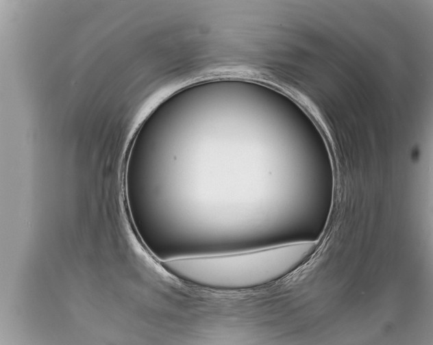 X0000089671389200706210743