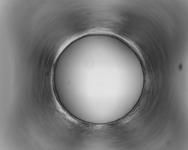 X0000089671390200706210743