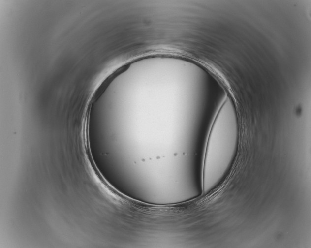 X0000089671391200706210743