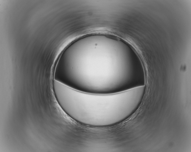 X0000089671392200706210743