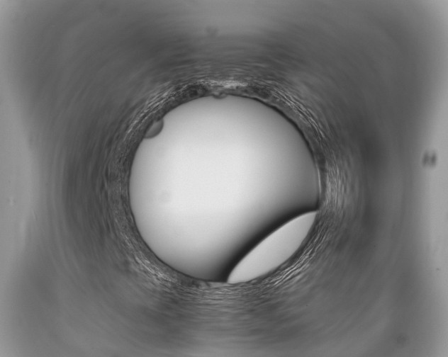 X0000089671393200706210742