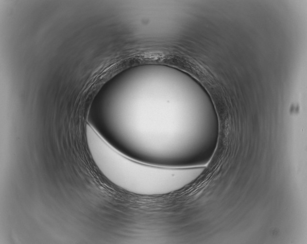 X0000089671394200706210742
