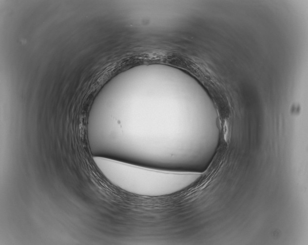 X0000089671395200706210742