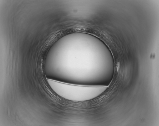 X0000089671396200706210742