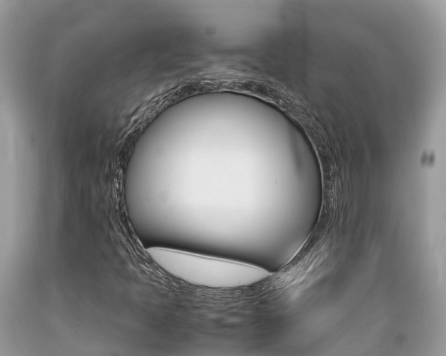 X0000089671397200706210742