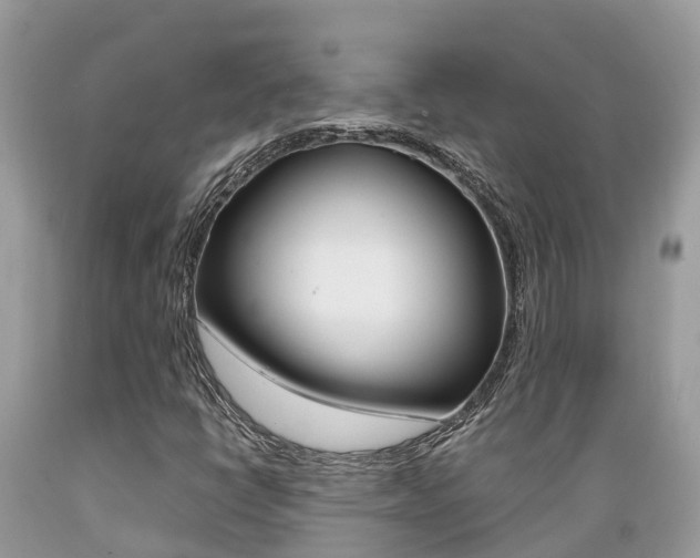 X0000089671398200706210742