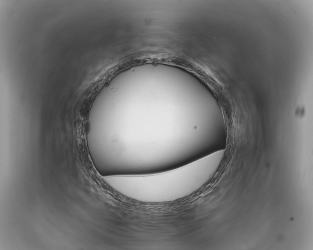 X0000089671399200706210742