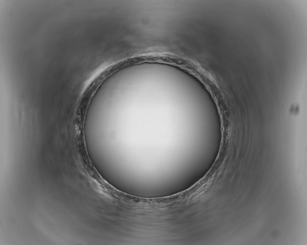 X0000089671400200706210742