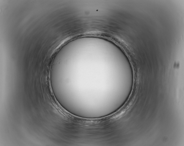 X0000089671401200706210742