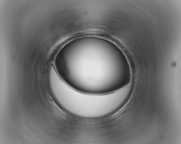 X0000089671402200706210742