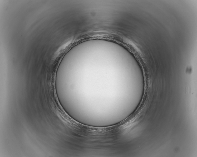 X0000089671403200706210742