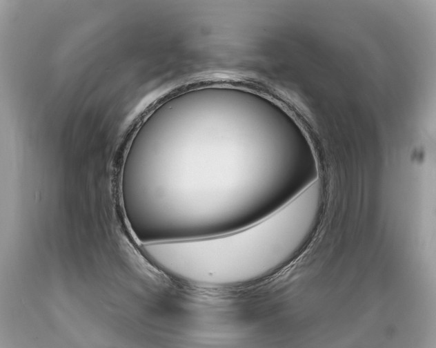 X0000089671404200706210742